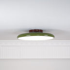 Adjustable Disc Ceiling Light With Low Profile Mount