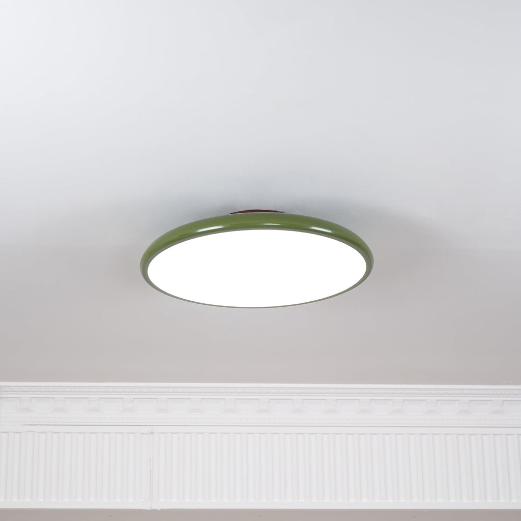 Adjustable Disc Ceiling Light With Low Profile Mount