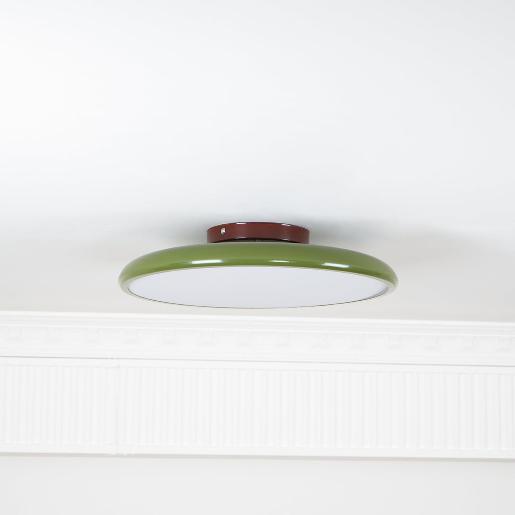 Adjustable Disc Ceiling Light With Low Profile Mount