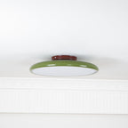Adjustable Disc Ceiling Light With Low Profile Mount