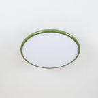 Adjustable Disc Ceiling Light With Low Profile Mount