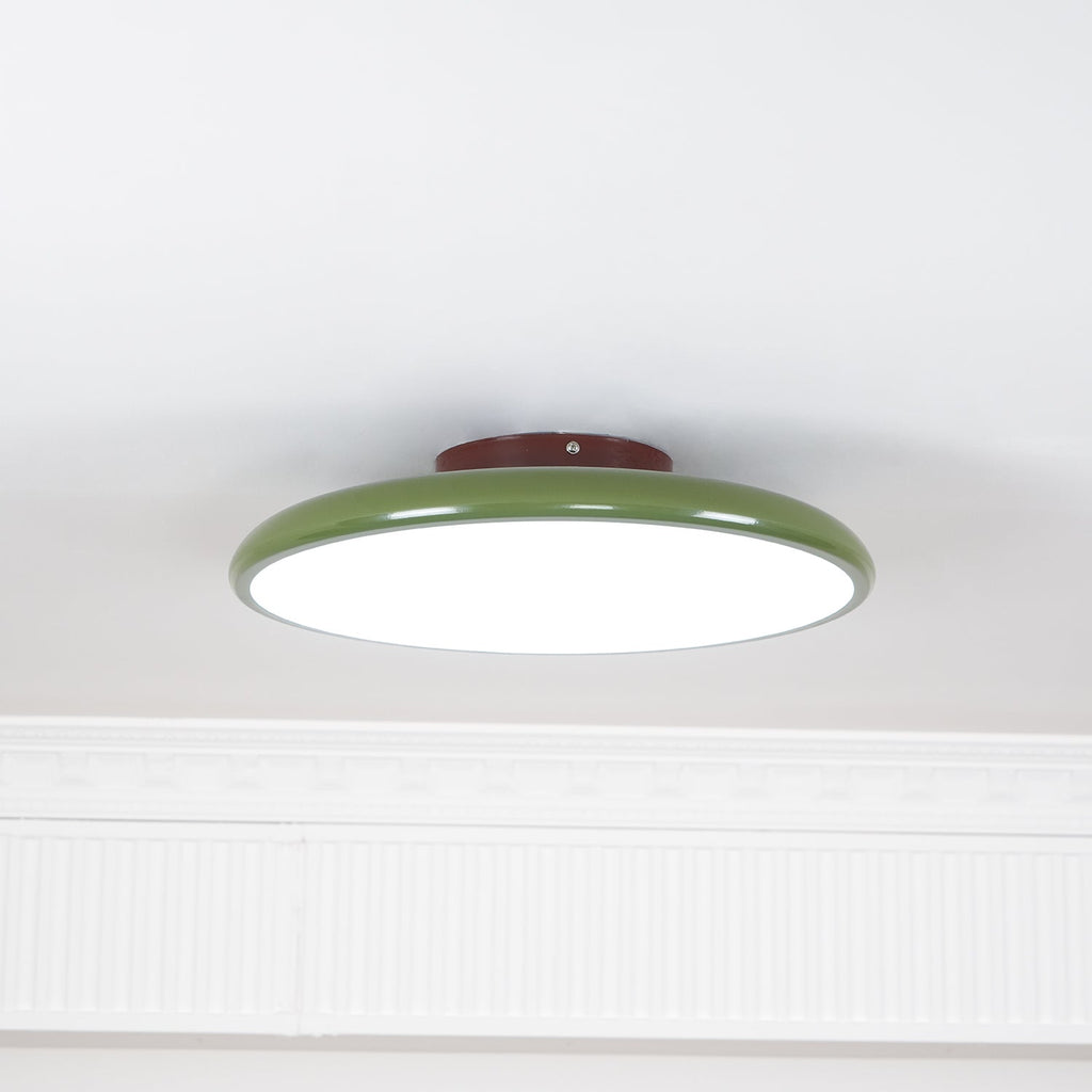 Adjustable Disc Ceiling Light With Low Profile Mount