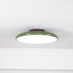 Adjustable Disc Ceiling Light With Low Profile Mount