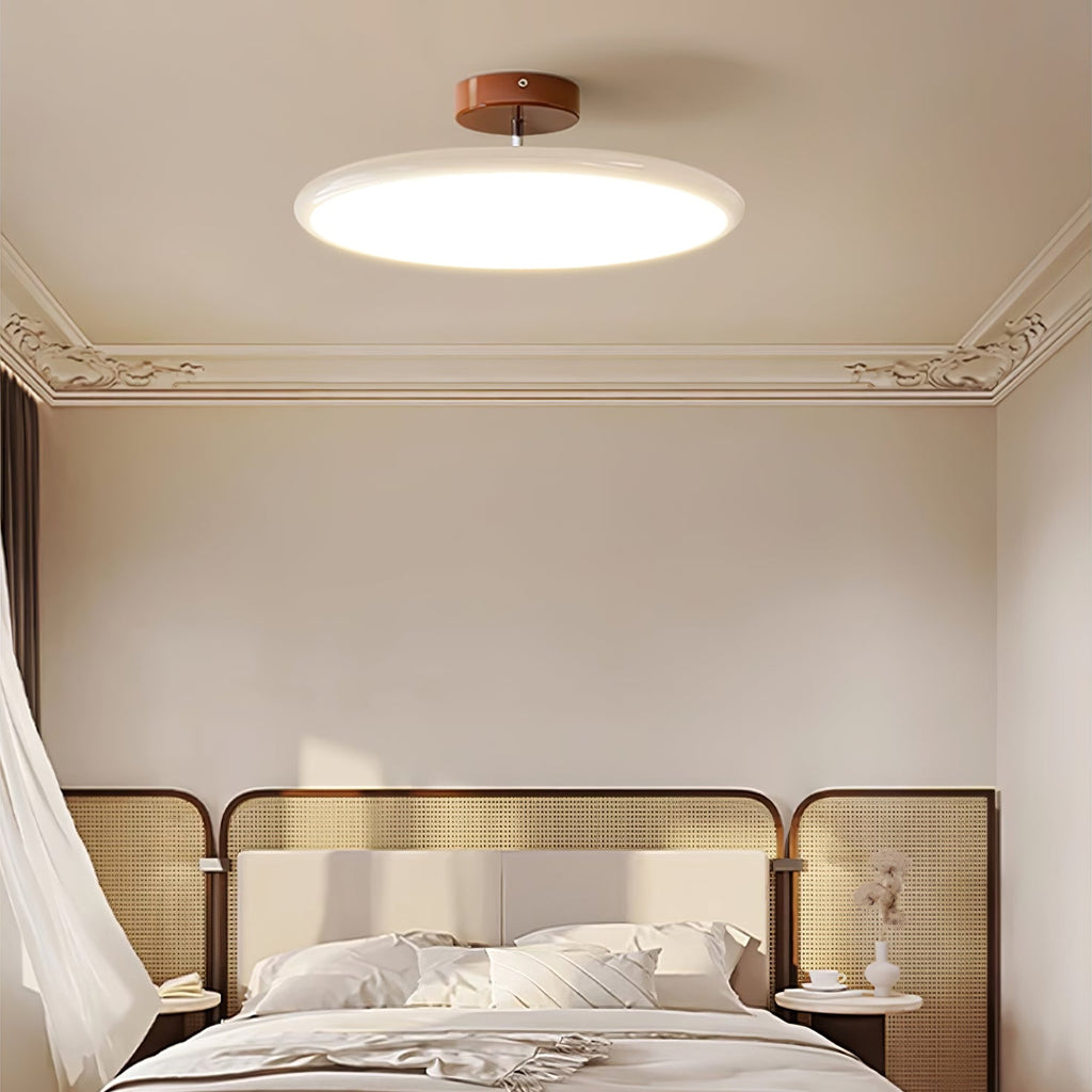 Adjustable Disc Ceiling Light With Low Profile Mount