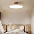 Adjustable Disc Ceiling Light With Low Profile Mount