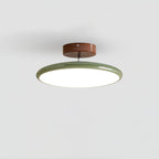 Adjustable Disc Ceiling Light With Low Profile Mount