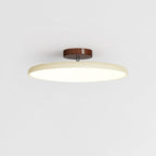 Adjustable Disc Ceiling Light With Low Profile Mount