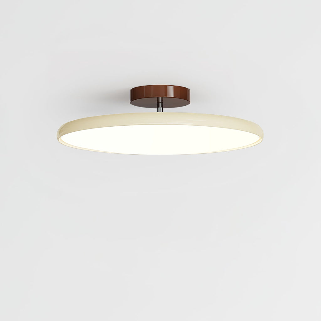 Adjustable Disc Ceiling Light With Low Profile Mount