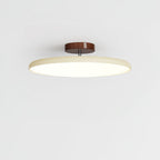 Adjustable Disc Ceiling Light With Low Profile Mount