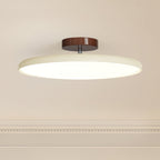 Adjustable Disc Ceiling Light With Low Profile Mount