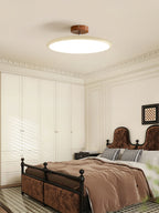 Adjustable Disc Ceiling Light With Low Profile Mount
