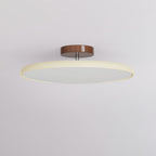 Adjustable Disc Ceiling Light With Low Profile Mount