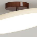Adjustable Disc Ceiling Light With Low Profile Mount