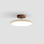 Adjustable Disc Ceiling Light With Low Profile Mount