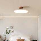 Adjustable Disc Ceiling Light With Low Profile Mount