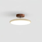 Adjustable Disc Ceiling Light With Low Profile Mount