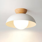 Nordic Minimalist Iron Shade Ceiling Light With Eco Dome Design