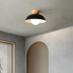 Nordic Minimalist Iron Shade Ceiling Light With Eco Dome Design