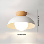 Nordic Minimalist Iron Shade Ceiling Light With Eco Dome Design
