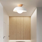 Nordic Minimalist Iron Shade Ceiling Light With Eco Dome Design