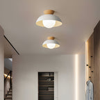 Nordic Minimalist Iron Shade Ceiling Light With Eco Dome Design