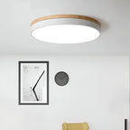 Nordic Round Flush Ceiling Light LED Light With Acrylic Diffuser