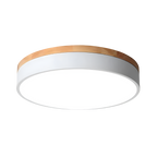 Nordic Round Flush Ceiling Light LED Light With Acrylic Diffuser
