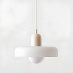 Adjustable Glass Pendant Lights With Opal Globe Shade