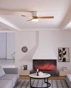 Wood Blade Ceiling Fan Ceiling Light With Remote Control