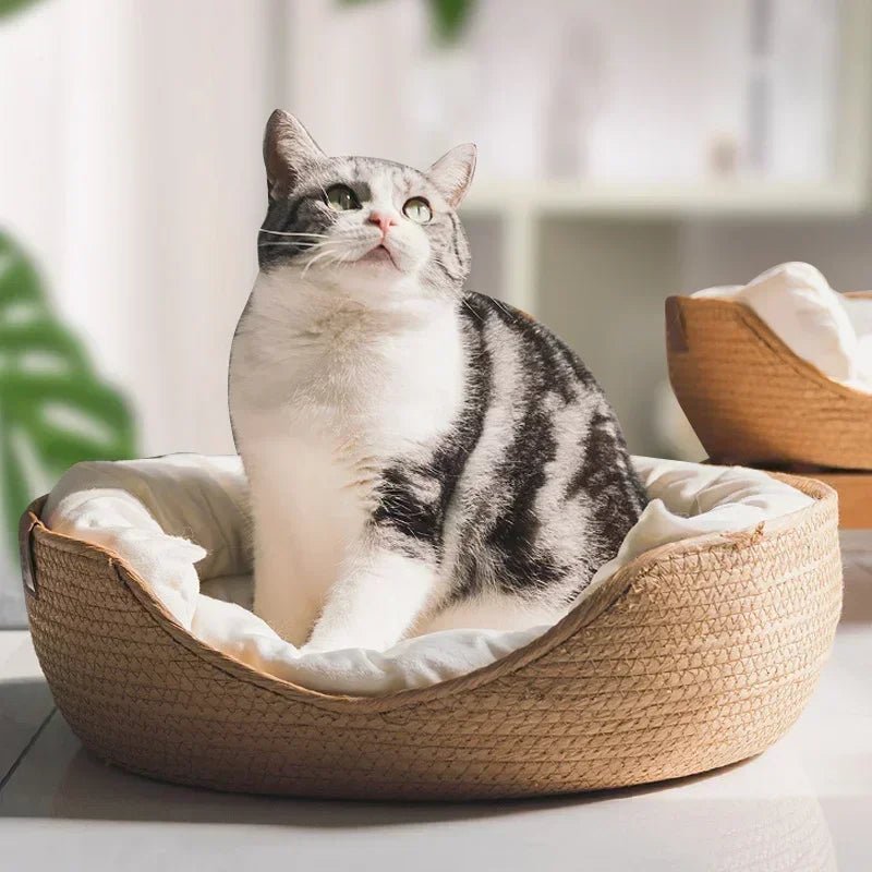 Woven Cat Bed Basket Natural Fibre Pet Sofa with Soft Removable Cotton Cushion Round Cat Basket for Indoor Cats | Small Dogs