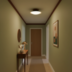 Modern Flush Mount Ceiling Light With Two-Tone Disc Shade