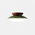 Modern Flush Mount Ceiling Light With Two-Tone Disc Shade