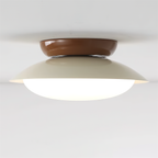 Modern Flush Mount Ceiling Light With Two-Tone Disc Shade