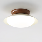 Modern Flush Mount Ceiling Light With Two-Tone Disc Shade