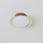 Modern Flush Mount Ceiling Light With Two-Tone Disc Shade