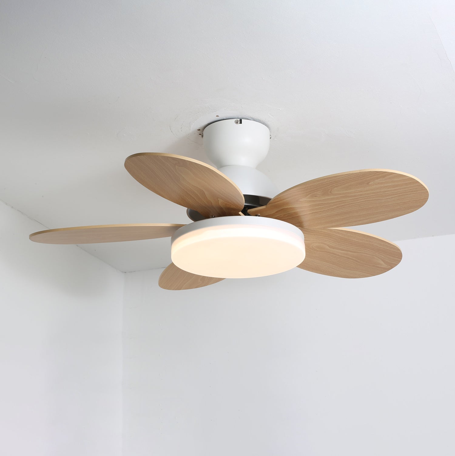 Petal Blade Ceiling Fan With Light Ceiling Light