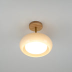 Glass Shade Ceiling Light With Wood Canopy