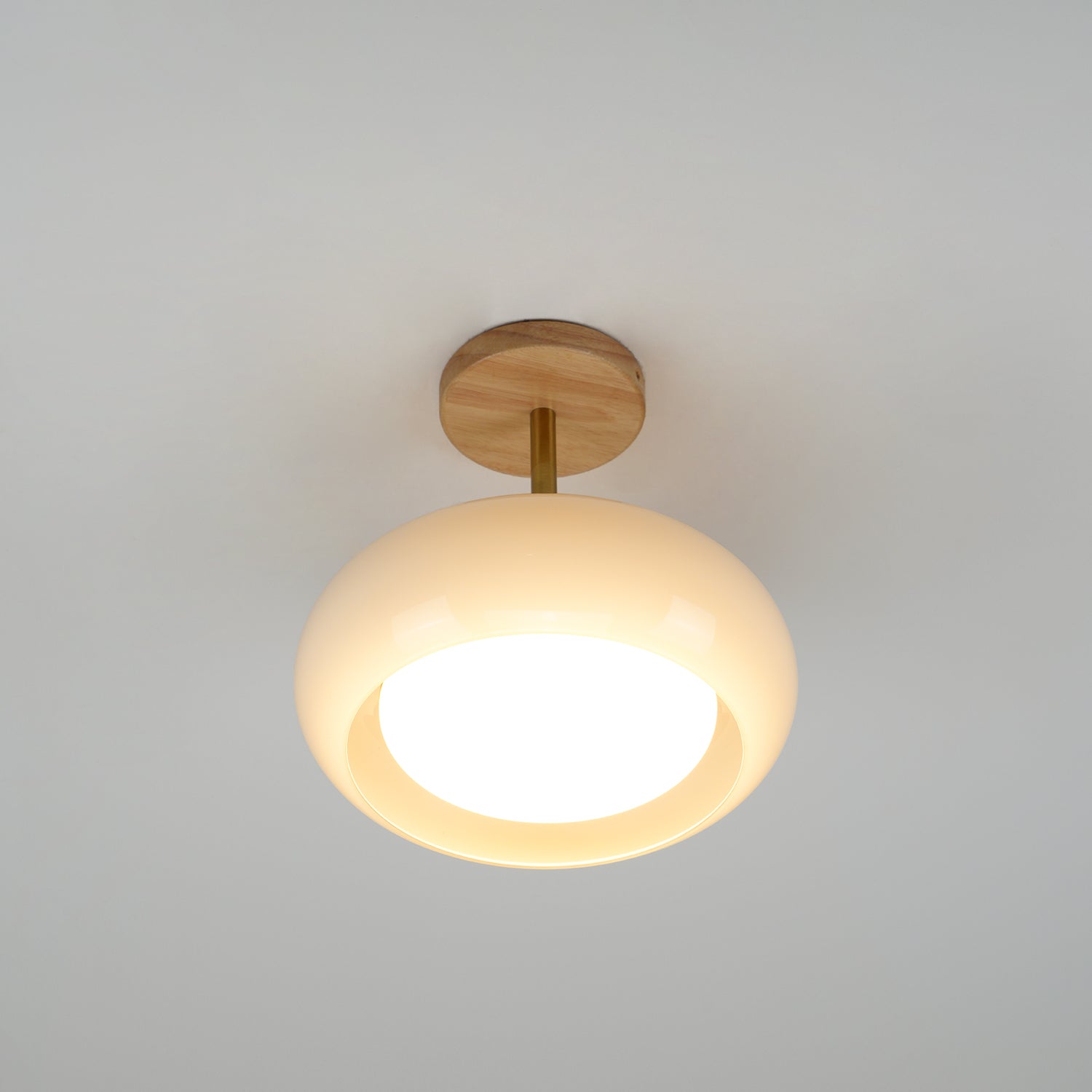 Glass Shade Ceiling Light With Wood Canopy