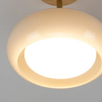 Glass Shade Ceiling Light With Wood Canopy