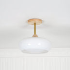 Glass Shade Ceiling Light With Wood Canopy