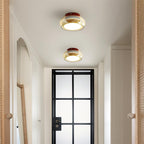 Warm White LED Glass Flush Mount Ceiling Light With Brass Rim