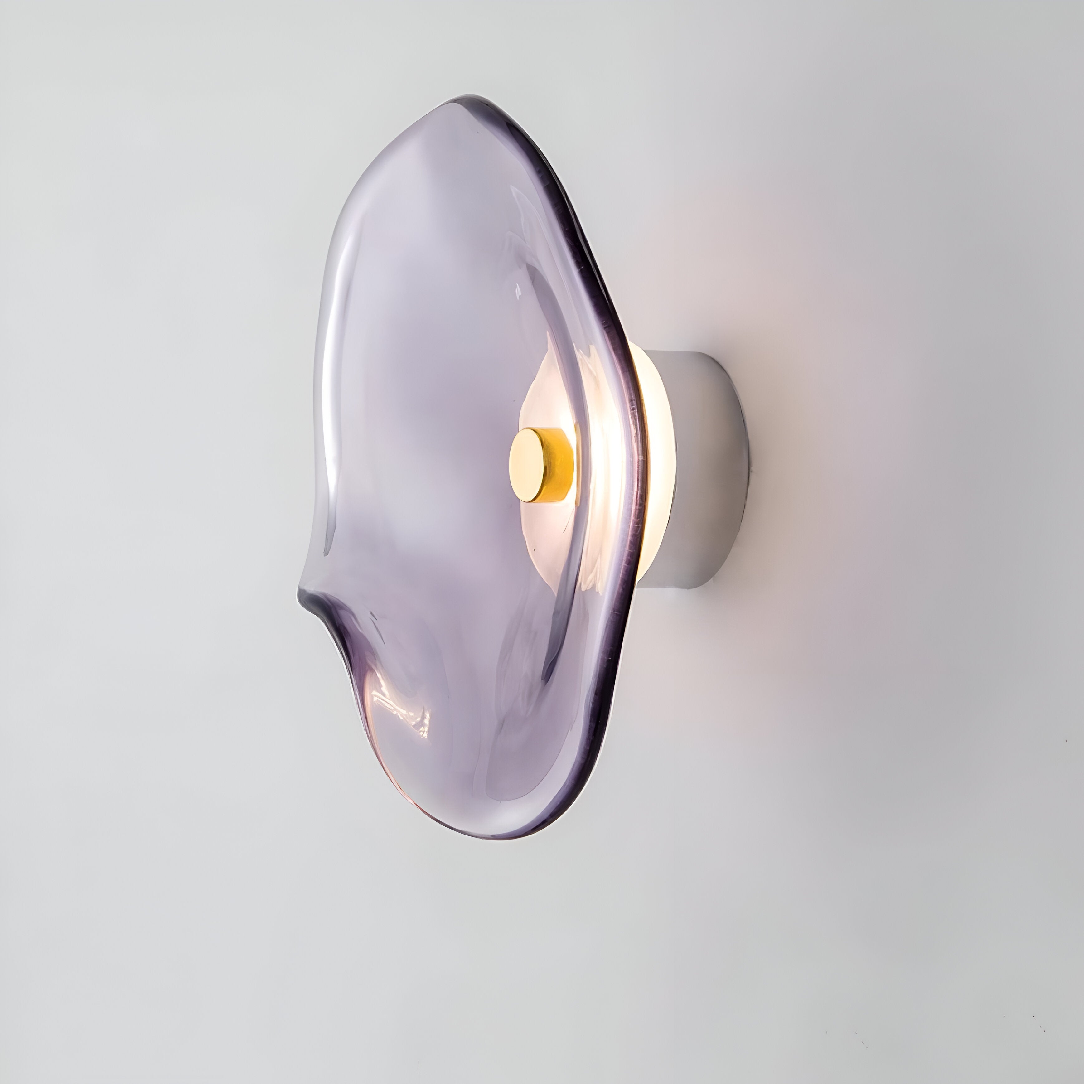 Nordic Curved Glass Wall Light LED Light With Sculpted Glass Shade