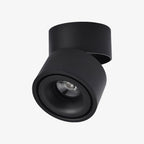Adjustable Surface Spot Ceiling Light With Integrated LED Light