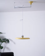 Adjustable Counterweight Swing Arm Pendant Lights