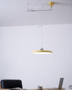 Adjustable Counterweight Swing Arm Pendant Lights