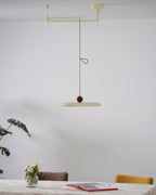 Adjustable Counterweight Swing Arm Pendant Lights