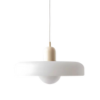 Modern Glass Pendant Light With Halo Shade