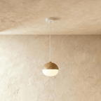 Modern Iron Pendant Light With Glass Shade