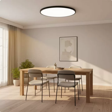 Minimalist Round LED Ceiling Light With Flush Mount Design