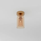 Modern Glass Ceiling Light With Hardwired LED Light